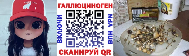 МЕГА рабочий сайт  Ясногорск  Галлюциногенные грибы GOLDEN TEACHER 